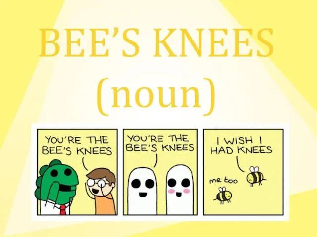 BEE’S KNEES (noun)