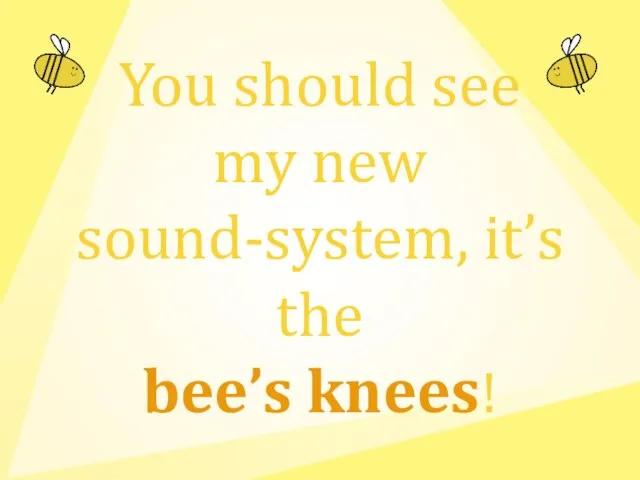 You should see my new sound-system, it’s the bee’s knees!