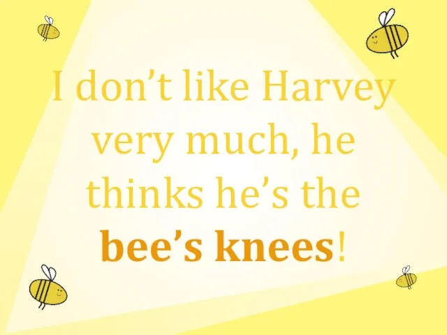 I don’t like Harvey very much, he thinks he’s the bee’s knees!