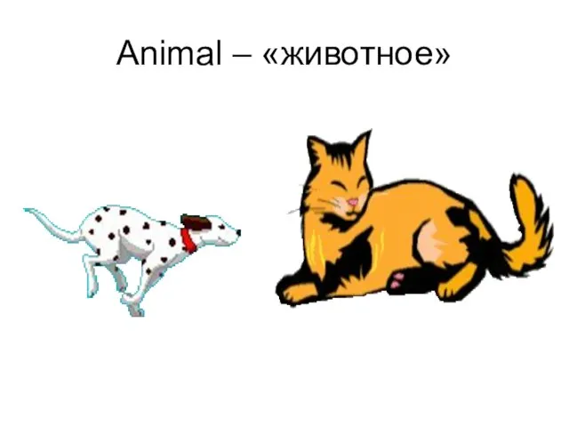 Animal – «животное»