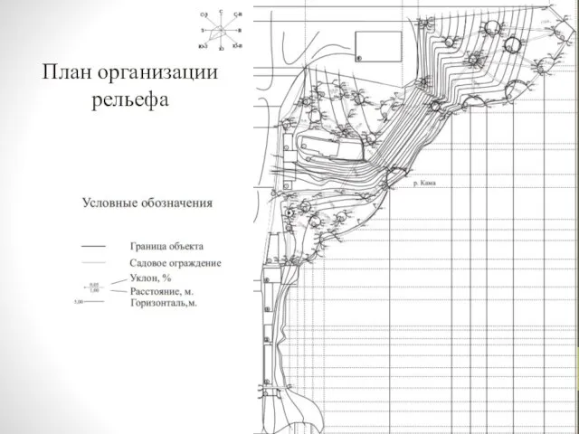 План организации рельефа