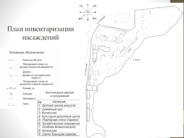 План инвентаризации насаждений