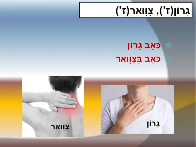 גָרוֹן(ז'), צָוָואר(ז') כְּאֵב גָרוֹן כּאֵב בַּצָוָואר צָוָואר גָרוֹן