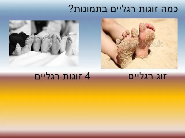 זוג רגליים כמה זוגות רגליים בתמונות? 4 זוגות רגליים