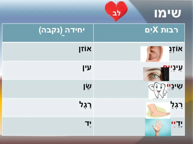 שימו לב ַ