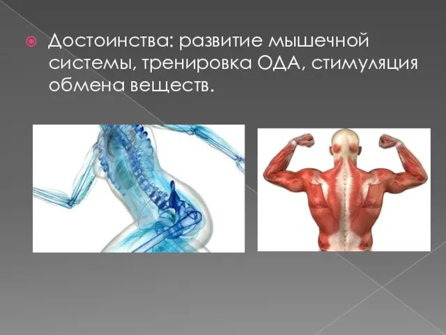 Достоинства: развитие мышечной системы, тренировка ОДА, стимуляция обмена веществ.