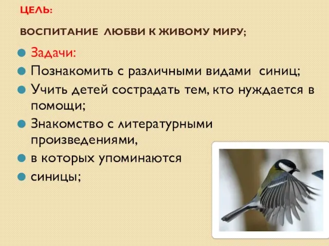 ЦЕЛЬ: ВОСПИТАНИЕ ЛЮБВИ К ЖИВОМУ МИРУ; Задачи: Познакомить с различными видами синиц;