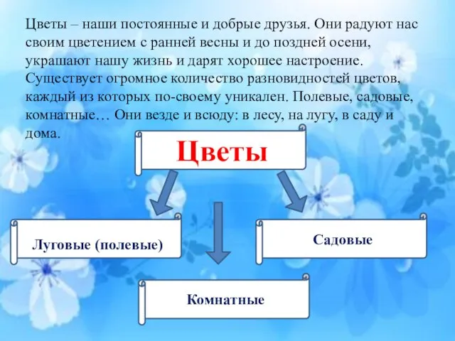 Цветы – наши постоянные и добрые друзья. Они радуют нас своим цветением