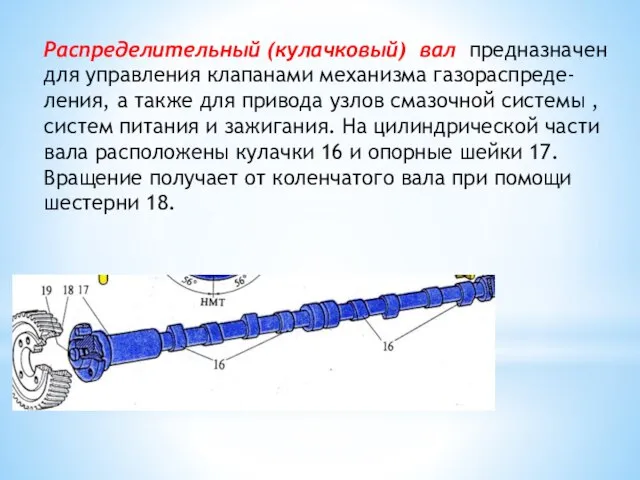 Распределительный (кулачковый) вал предназначен для управления клапанами механизма газораспреде-ления, а также для