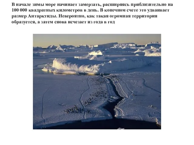 В начале зимы море начинает замерзать, расширяясь приблизительно на 100 000 квадратных