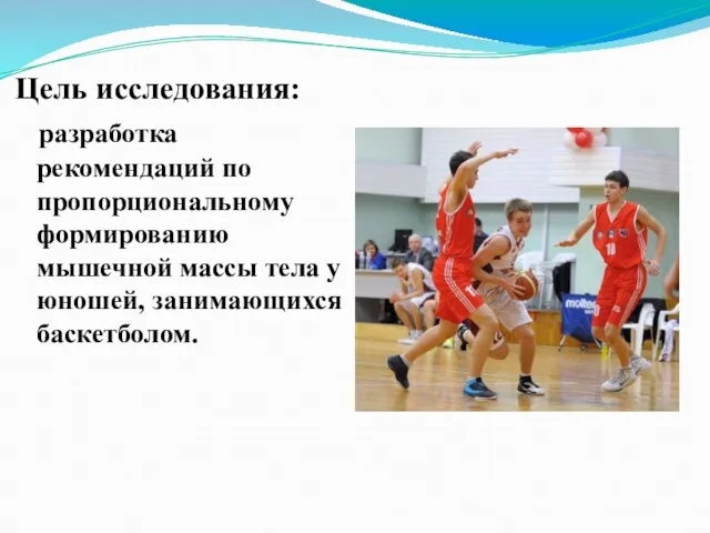 Цель исследования: разработка рекомендаций по пропорциональному формированию мышечной массы тела у юношей, занимающихся баскетболом.