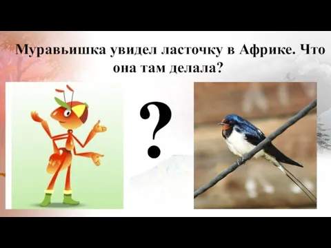 ? Муравьишка увидел ласточку в Африке. Что она там делала?