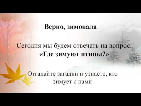 Верно, зимовала Сегодня мы будем отвечать на вопрос: «Где зимуют птицы?» Отгадайте