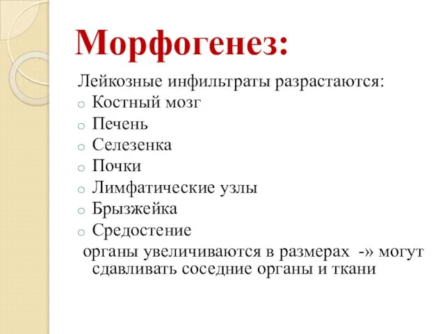 Морфогенез: Лейкозные инфильтраты разрастаются: Костный мозг Печень Селезенка Почки Лимфатические узлы Брызжейка