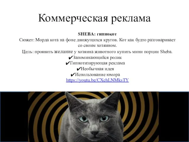 Коммерческая реклама SHEBA: гипнокот Сюжет: Морда кота на фоне движущихся кругов. Кот