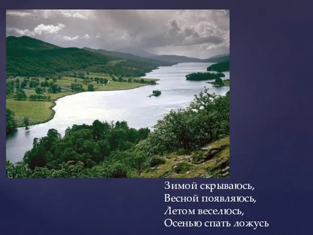 Зимой скрываюсь, Весной появляюсь, Летом веселюсь, Осенью спать ложусь