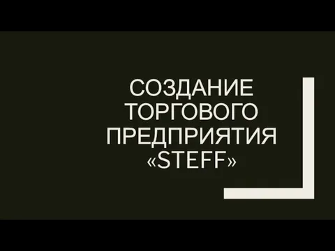 СОЗДАНИЕ ТОРГОВОГО ПРЕДПРИЯТИЯ «STEFF»