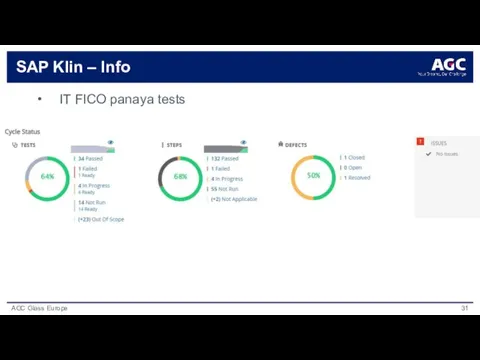 SAP Klin – Info IT FICO panaya tests yes