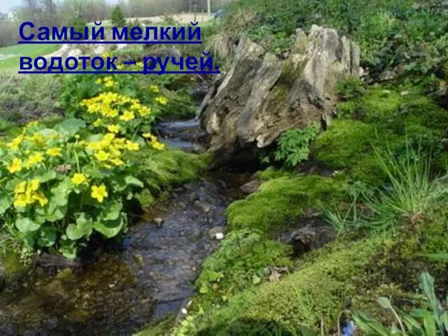 Самый мелкий водоток – ручей.