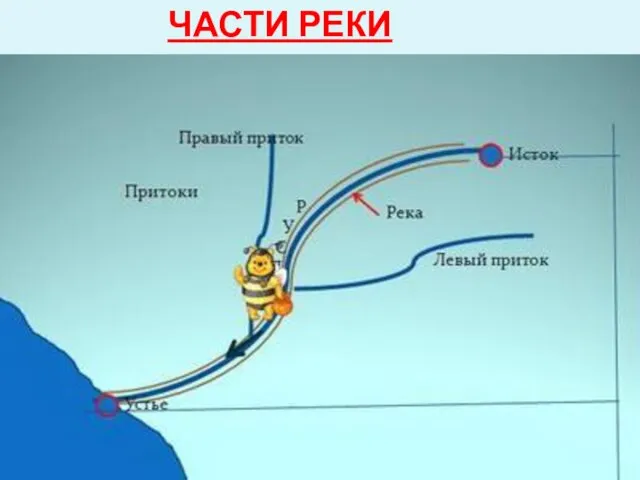 ЧАСТИ РЕКИ