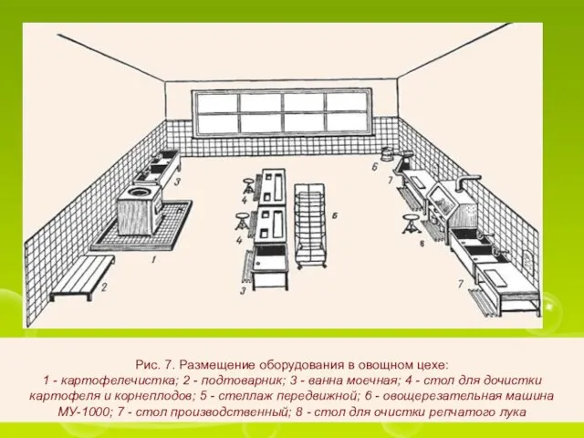 Рис. 7. Размещение оборудования в овощном цехе: 1 - картофелечистка; 2 -