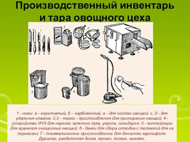 Производственный инвентарь и тара овощного цеха 1 - ножи: а - коренчатый,