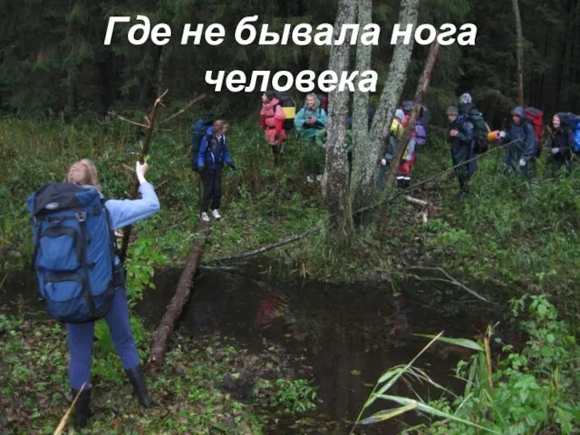 Где не бывала нога человека