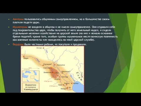 Авилумы пользовались общинным самоуправлением, но в большинстве своем платили подати царю. Мушкенумы