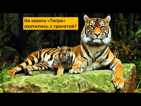 На какого «Тигра» охотились с гранатой?
