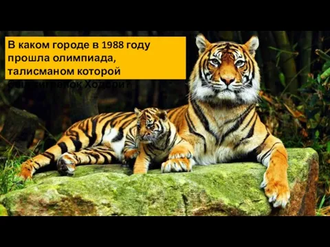 В каком городе в 1988 году прошла олимпиада, талисманом которой был тигрёнок Ходори?