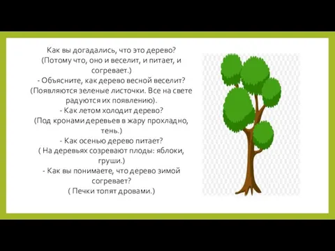 Как вы догадались, что это дерево? (Потому что, оно и веселит, и