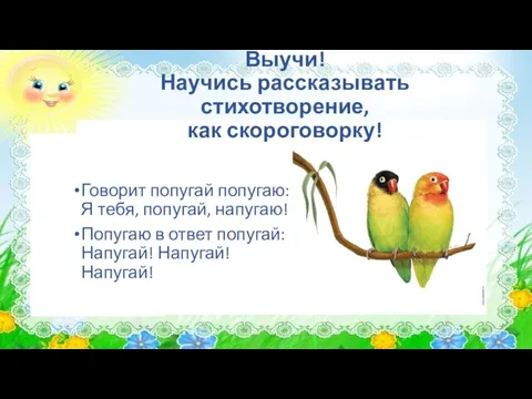 Выучи! Научись рассказывать стихотворение, как скороговорку! Говорит попугай попугаю: Я тебя, попугай,