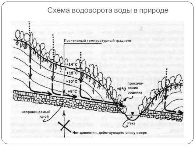 Схема водоворота воды в природе