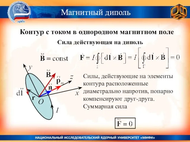 Контур с током в однородном магнитном поле Магнитный диполь Сила действующая на