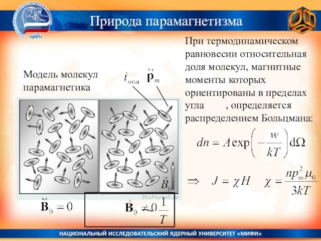 Природа парамагнетизма При термодинамическом равновесии относительная доля молекул, магнитные моменты которых ориентированы