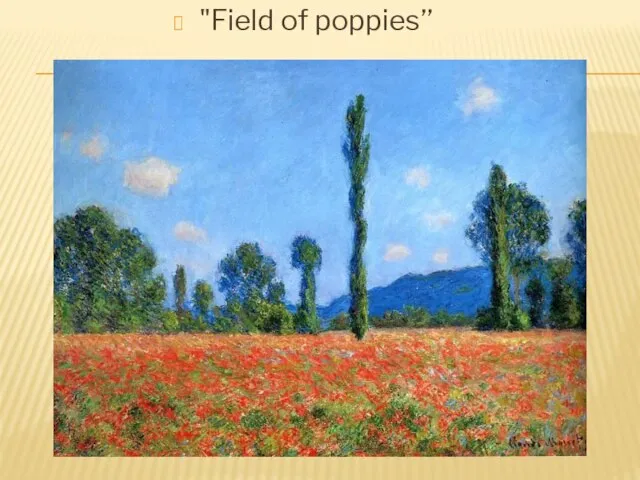 "Field of poppies’’