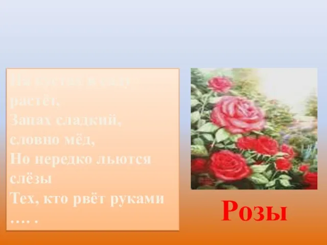 Загадки На кустах в саду растёт, Запах сладкий, словно мёд, Но нередко