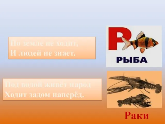 Загадки Под водой живёт народ Ходит задом наперёд. По земле не ходит,