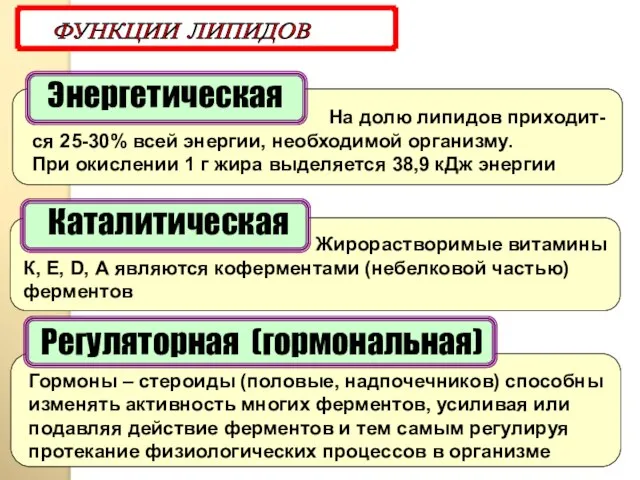 Энергетическая ФУНКЦИИ ЛИПИДОВ На долю липидов приходит-ся 25-30% всей энергии, необходимой организму.