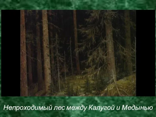 Непроходимый лес между Калугой и Медынью