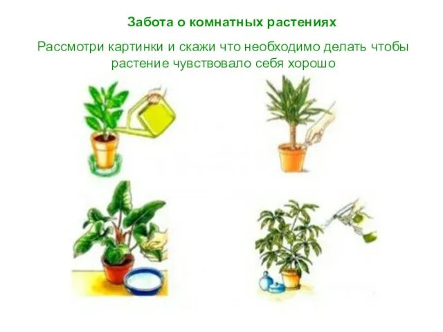 Забота о комнатных растениях Рассмотри картинки и скажи что необходимо делать чтобы растение чувствовало себя хорошо