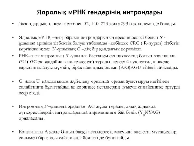 Ядролық мРНҚ гендерінің интрондары Экзондардың өлшемі негізінен 52, 140, 223 және 299