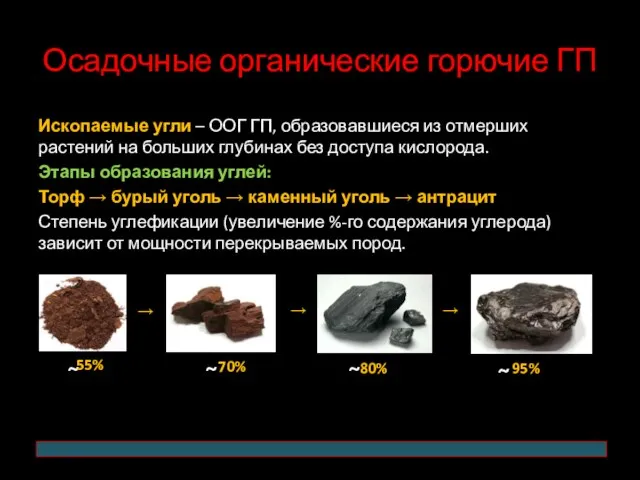 Осадочные органические горючие ГП Ископаемые угли – ООГ ГП, образовавшиеся из отмерших