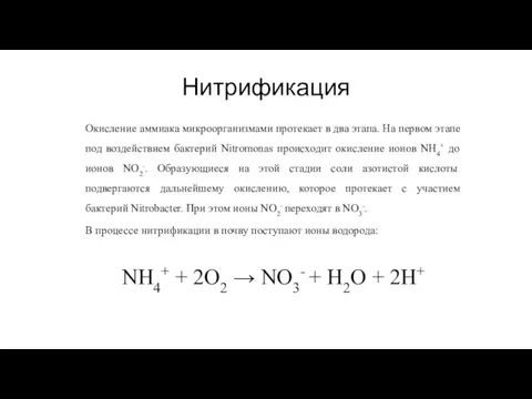 Нитрификация Окисление аммиака микроорганизмами протекает в два этапа. На первом этапе под