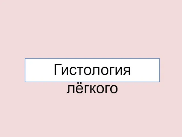 Гистология лёгкого