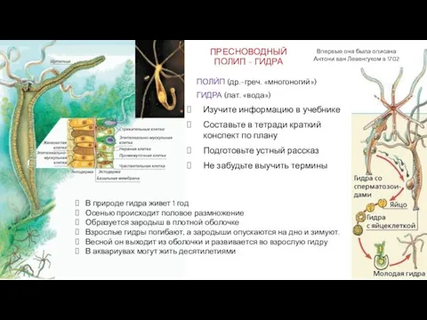 Изучите информацию в учебнике Составьте в тетради краткий конспект по плану Подготовьте