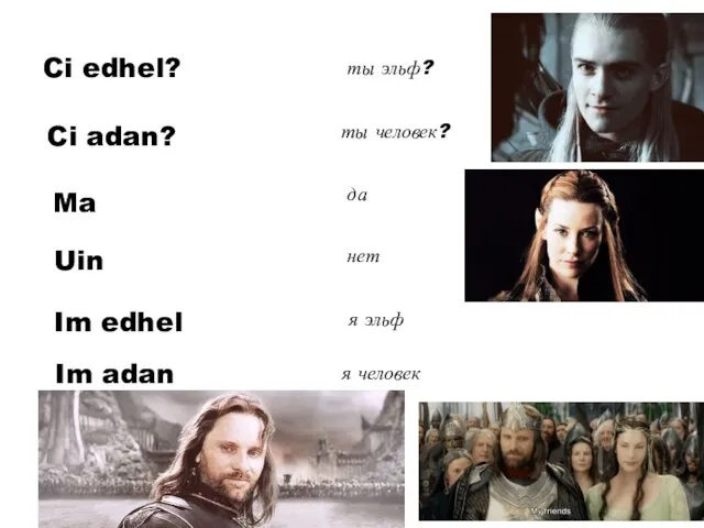 Ci edhel? Ci adan? Ma Uin Im edhel Im adan ты эльф?