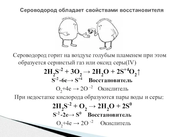 Сероводород горит на воздухе голубым пламенем при этом образуется сернистый газ или