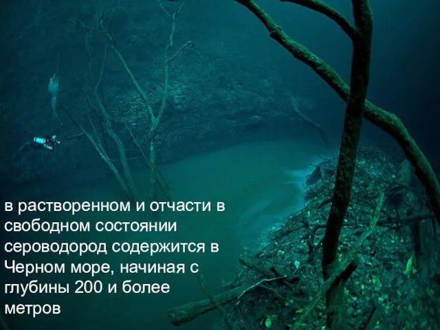 в растворенном и отчасти в свободном состоянии сероводород содержится в Черном море,