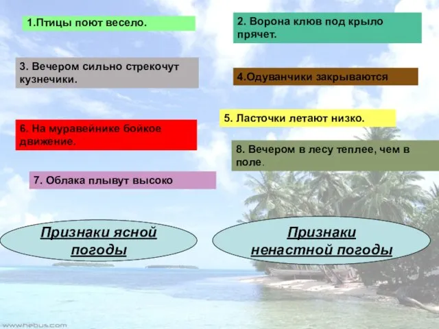 3. Вечером сильно стрекочут кузнечики. 8. Вечером в лесу теплее, чем в